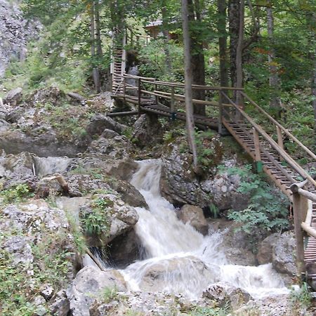 Apartments Am Kirchkogel "Laendliche Entspannung Im Herzen Der Steiermark" Pernegg an der Mur Extérieur photo